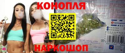 индика Будённовск